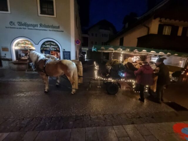 Wolfgangsee072