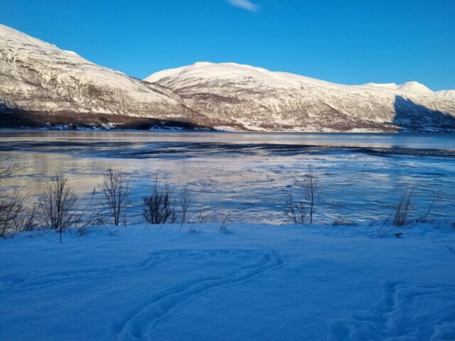 lofoten0227