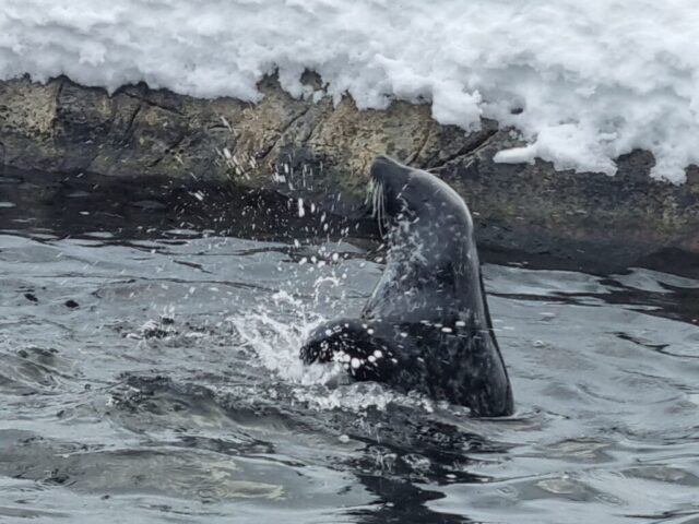 lofoten0539