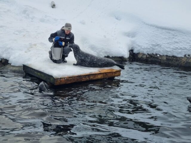 lofoten0542