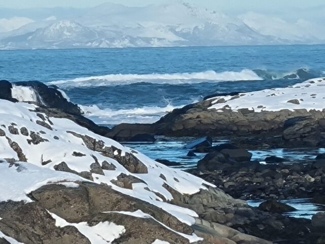 lofoten0842