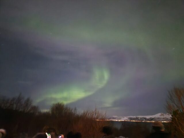 lofoten0951