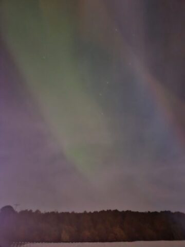 lofoten1136