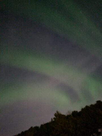 lofoten1142
