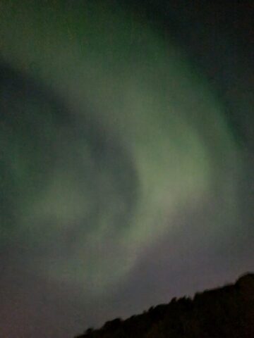 lofoten1147