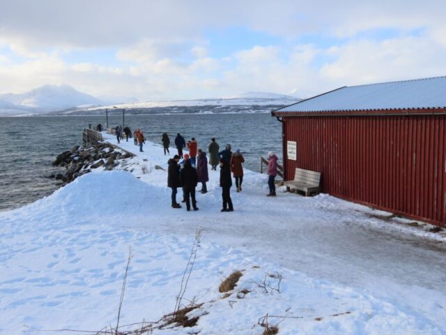 lofoten1223